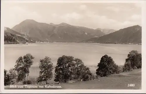 Vue AK sur le lac de Tegern de Gut Kaltenbrunn, incurvée