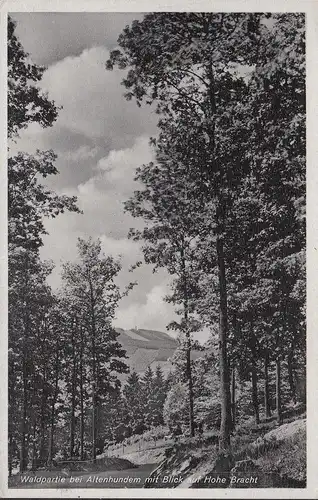 AK Forêt à Hunder avec vue sur Hoch Bracht, inachevé- date 1943