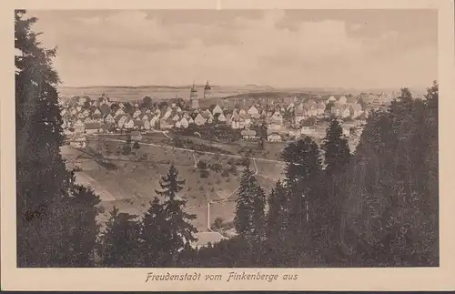 AK Freundenstadt depuis Finkenberge, vue panoramique, incurvée