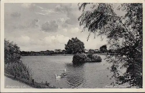 AK Königsberg, Partie am Oberteich, DR Mi.Nr. 666, gelaufen 1938