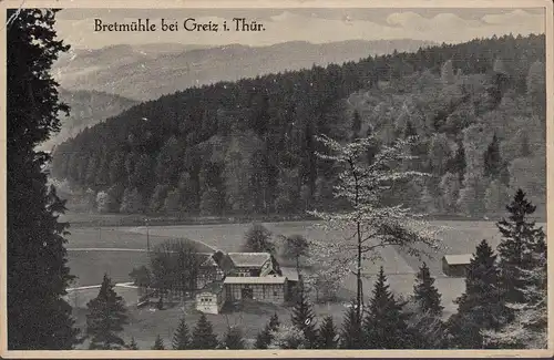 AK Greiz, Bretmühle, gelaufen 1944