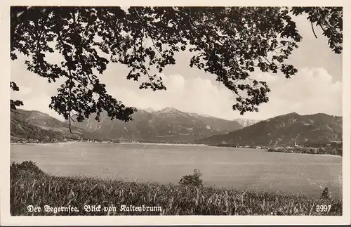 AK Der Tegernsee, Blick auf Kaltenbrunn, ungelaufen