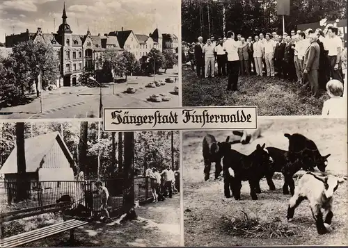 AK Finsterwalde, Marktplatz, Tierpark, ungelaufen