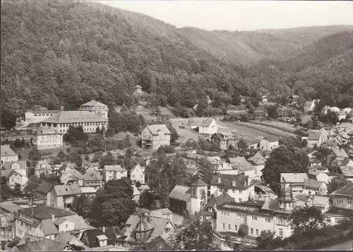 AK Schwarzburg, Stadtansicht, ungelaufen