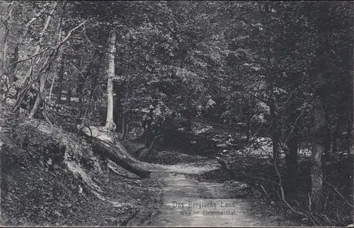 AK Beuren, chemin vers la vallée du Haut-Bain, incurvé