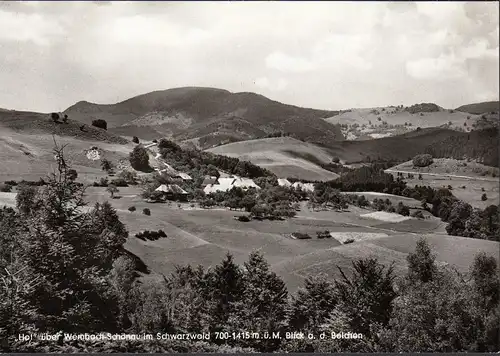 AK Hof über Wembach-Schönau, Blick auf den Belchen, gelaufen 1981