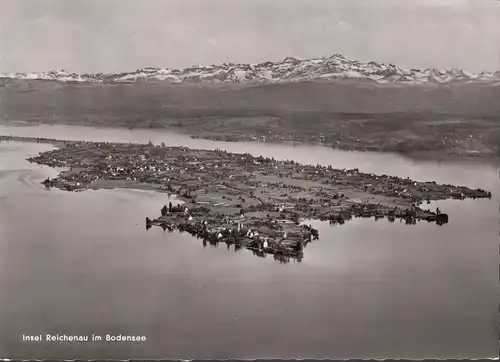 AK île de Reichenau, photo aérienne, incurvée