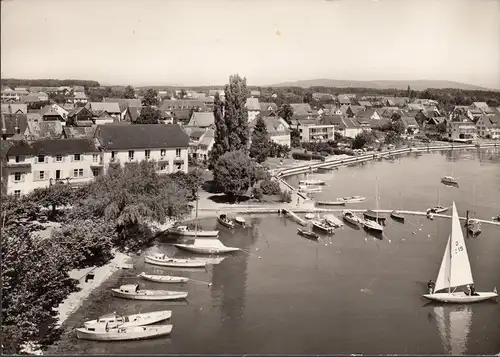 AK Immenstaad, port, bateaux, vue sur la ville, couru