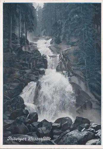 AK Triberg, Cascades de Tri Berg, No.166406, incurvée