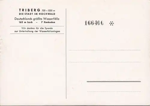 AK Triberg, Cascades de Tri Berg, No.166406, incurvée