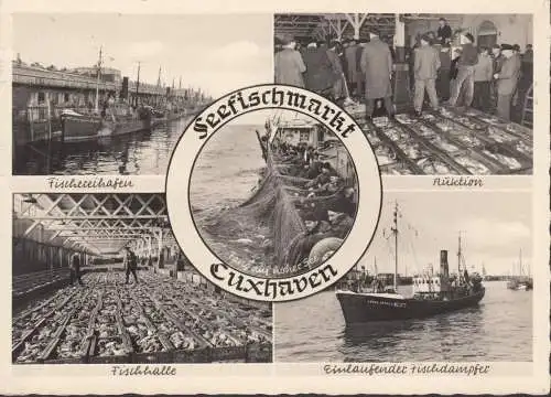 AK Cuxhaven, Fischereihafen, Kutter Heidmann, Schiff Detmold, Auktion, Fischhalle, gelaufen 1963