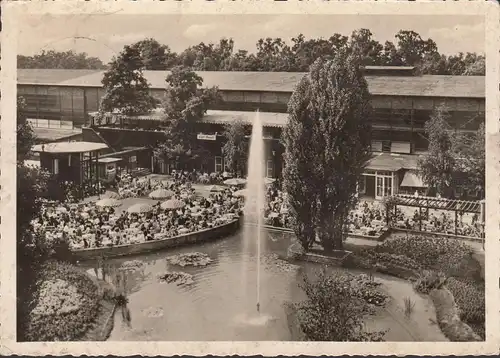 AK Hannover, Messegelände, Gartencafe, Halle 3, gelaufen 1956