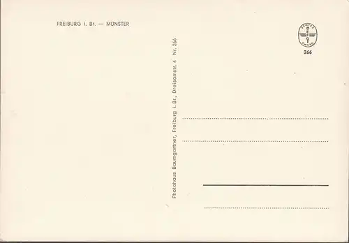 AK Freiburg im Breisgau, Münster, Stadtansicht, ungelaufen