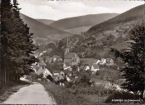 AK Rippberg, Stadtansicht, gelaufen 1961