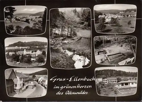 AK Gras-Ellenbach, vue de ville, maisons, partie de rue, couru