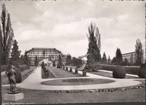 AK Berlin-Dahlem, Botanischer Garten, gelaufen 1964