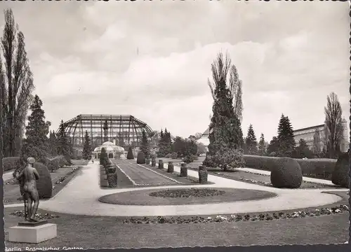 AK Berlin-Dahlem, Jardin botanique, couru en 1964