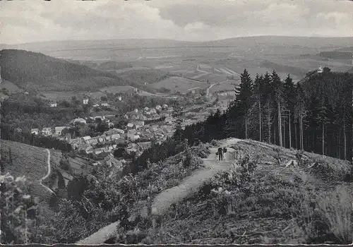 AK Bad Lauterberg, Stadtansicht, Blick vom Bismarckturm, ungelaufen