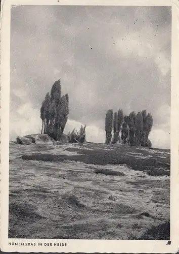 AK Hünengrab in der Heide, gelaufen 1955