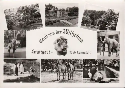 AK Stuttgart, Bad Cannstatt, Gruß aus Wilhema, Zoo, ungelaufen