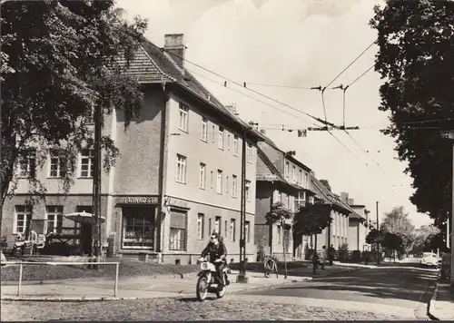 AK Potsdam, Babelsberg, Pestalozzistraße, magasin de produits alimentaires fins, vue sur la route, couru