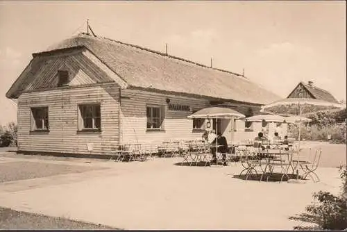 AK Greifswald, Konsum Gaststätte Waldhaus, ungelaufen