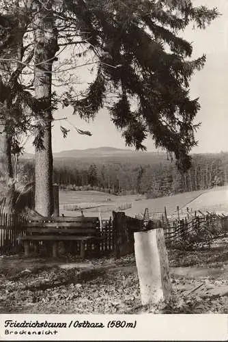 AK Friedrichsbrunn, Brockenansicht, ungelaufen