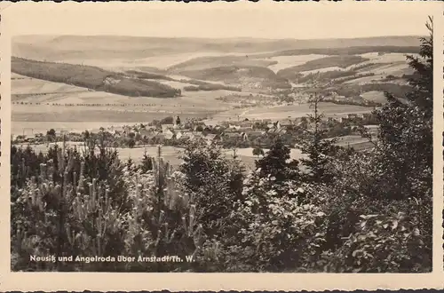 AK Neusitz und Angelroda, Panoramaansicht, gelaufen 1964