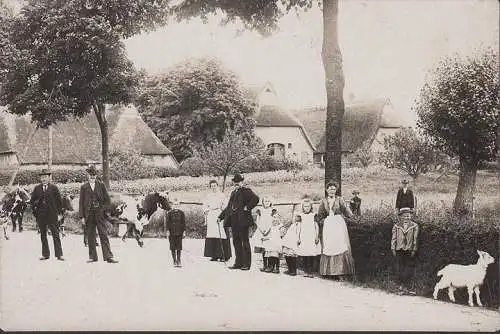 AK Bad Bramstedt, Dorfgemeinde mit Tieren auf der Straße, Foto-AK, ungelaufen