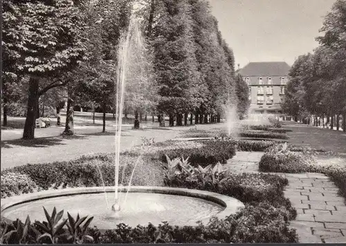 AK Bad Pyrmont, Springbrunnenallee, gelaufen 1958