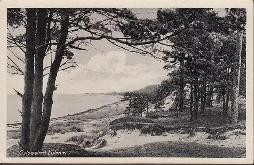 AK Lubmin, Strand, Bäume, ungelaufen