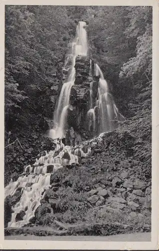 AK Brotterode-Trusetal, Trustaler Wasserfälle, gelaufen 1953
