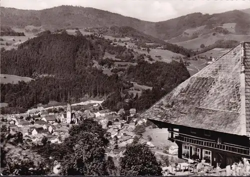 AK Schönau, Blick von der Michelrütte, Stadtansicht, Kirche, gelaufen 1968