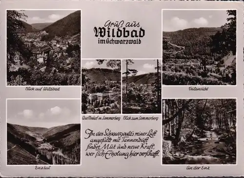 AK Bad Wildbad, Stadtansicht, Quellenhof, Enz, gelaufen 1959