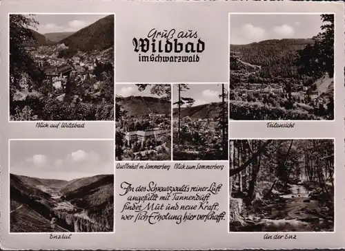 AK Bad Wildbad, Vue de la ville, Forenhof, Enz, couru 1959