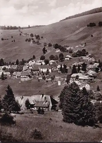 AK Todtnauberg, Stadtansicht, Reetdachhäuser, gelaufen 1965