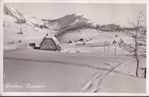 AK Bad Mitterndorf, Alpenheim Tauplitzalm, gelaufen