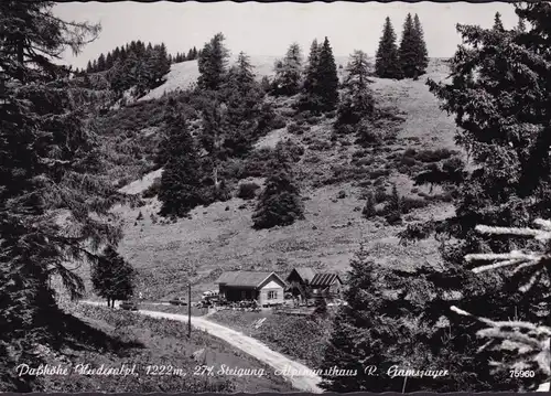 AK Niederalpl, Passhöhe, Alpengasthaus R. Gamsjäger, gelaufen