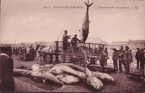 CPA Boulogne-sur-Mer, Débarquement du poisson, ungelaufen