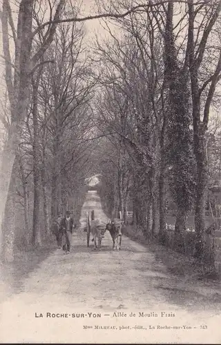 CPA La Roche sur Yon, Allée de Moulin Frais, ungelaufen