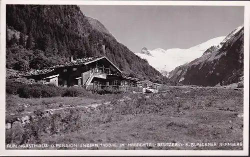 AK Mönichkirchen, Alpengasthaus und Pension Enzian, gelaufen 1958