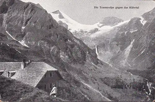 AK Die Trauneralpe gegen das Käfertal, Alpengasthof Trauneralpe, ungelaufen