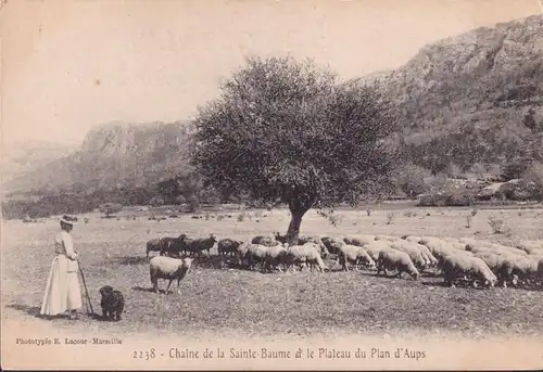 CPA Chaime de la Sainte Baume et le Plateau du Plan d Aups, ungelaufen
