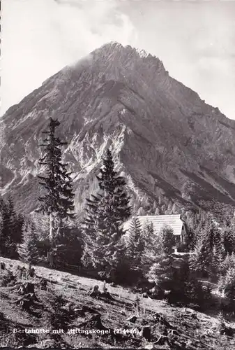 AK Ledenitzen, Bertahütte avec le godet de midi, couru en 1961