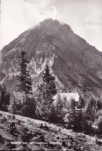 AK Ledenitzen, Bertahütte mit Mittagskogel, gelaufen 1961