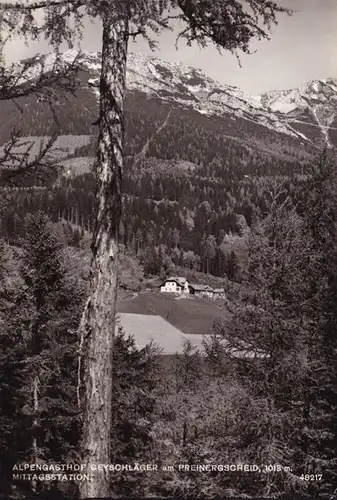 AK Reichenau, Alpengasthof Geyschläger, Preiner Gscheid, gelaufen 1966