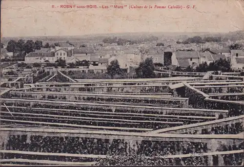 CPA Rosny sous Bois, Les Mors, couru en 1914