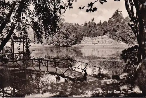 AK Oranienbaum Wörlitz, Wörlitzer Park, Weinberg, ungelaufen