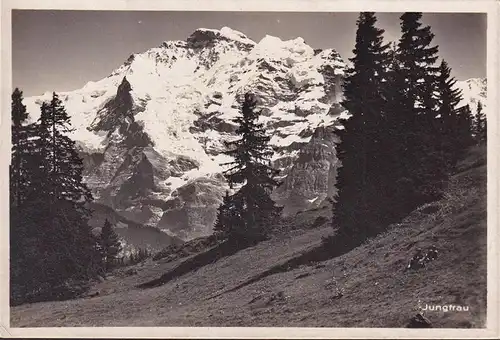 AK Bern, Jungfrau, gelaufen