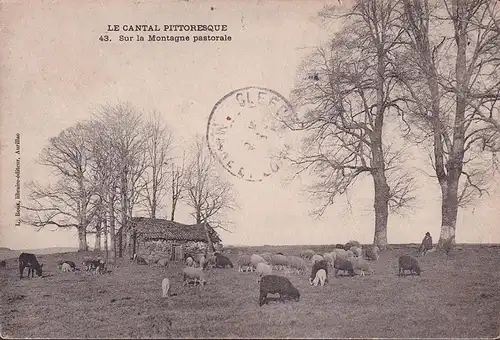 CPA Le Cantal, Sur la Montagne pastorale, gelaufen 1906